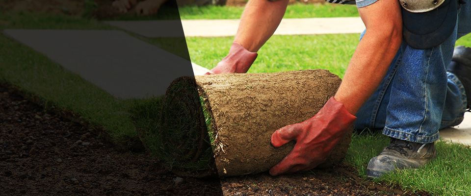 Saucier Landscapers